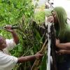 Rudolph Brown/Photographer
May Davis hammers away, trying to fix her zinc fence. Assisting her are Latoya Anderson (centre) and Kenisha Muir. 

Hurricane Sandy passes through Jamaica on damage properties on Thursday, October 25, 2012