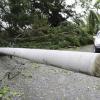 Ricardo Makyn/Staff Photographer
A fallen pole on the Stony Hill main road St Andrew